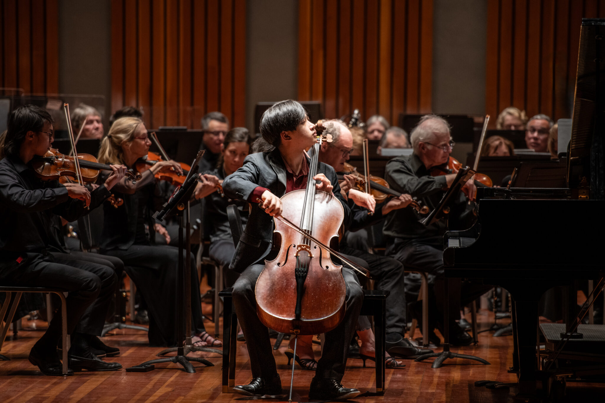 Southern Arizona Symphony Orchestra